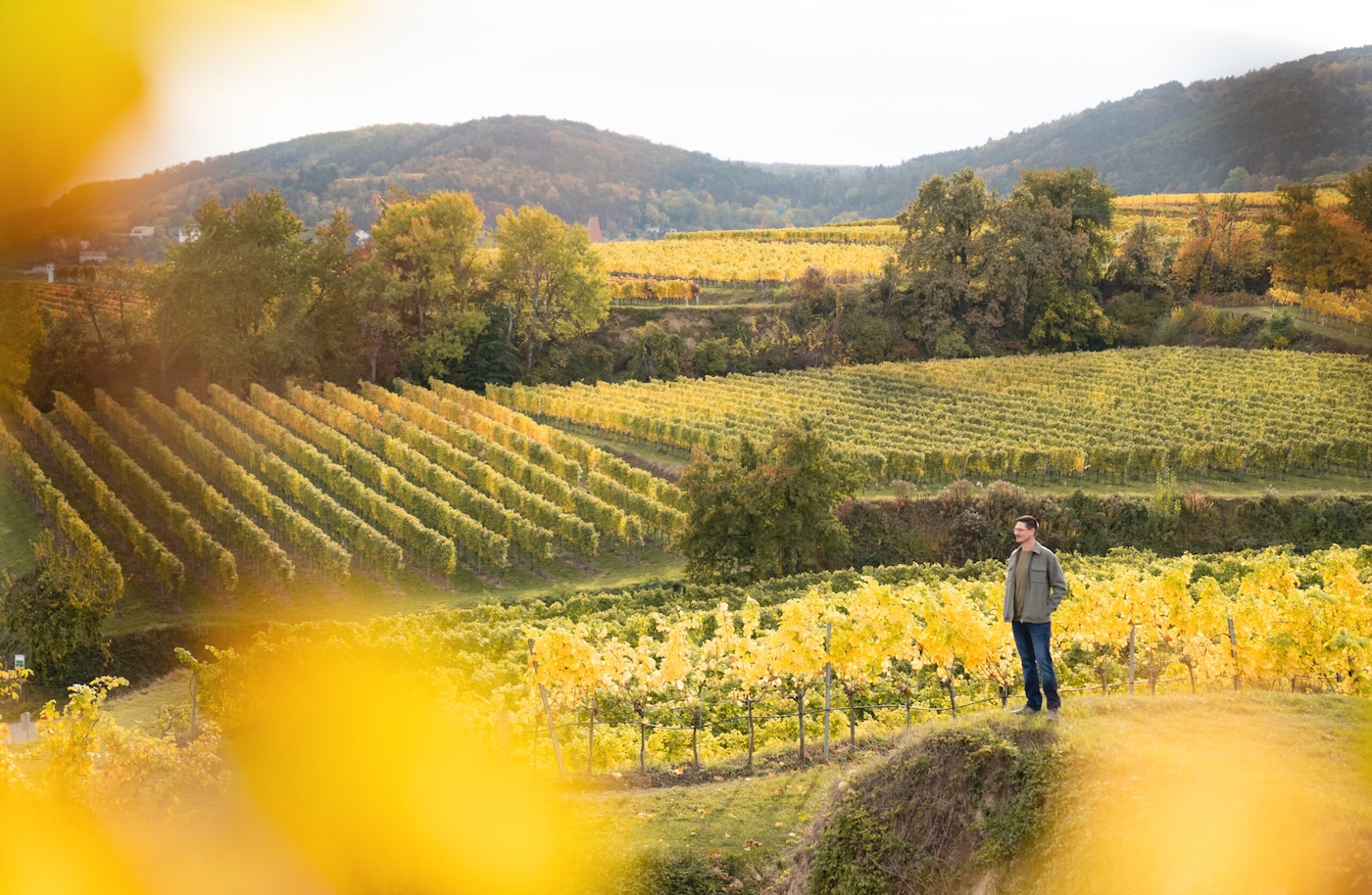 Winzerhaus Schöller